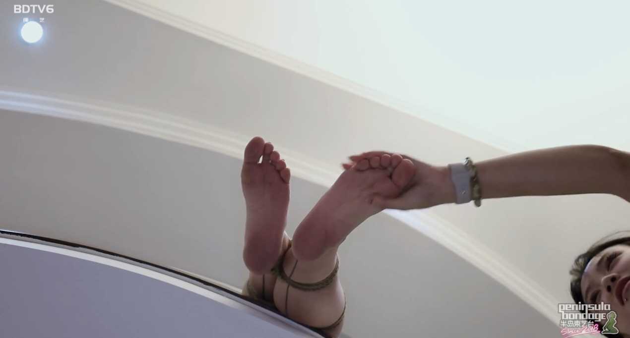 3739.jpg