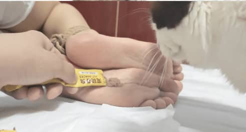 3831.jpg