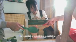 IMG_2920.jpeg