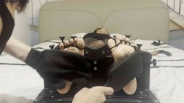 IMG_2982.jpeg